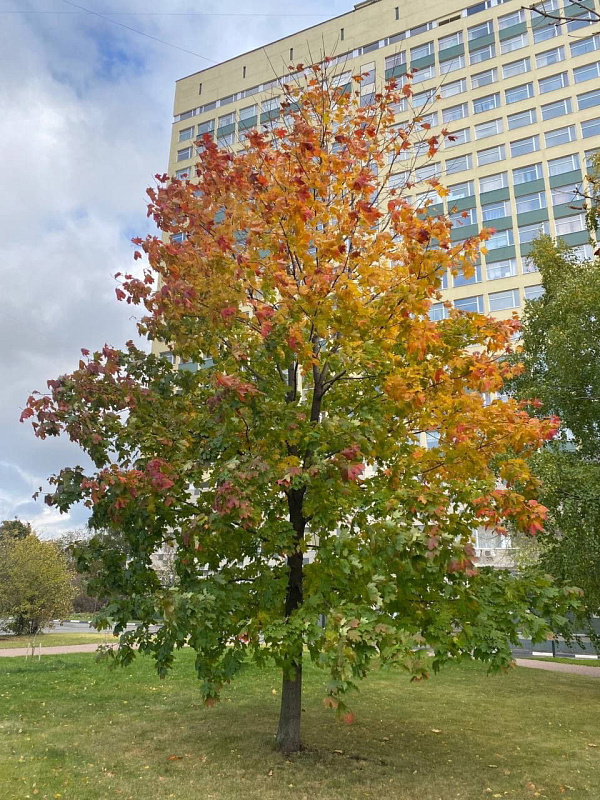 Подборка осенних фото в стиле «autumn moment» от фотографов ГУУ